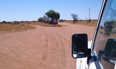 Autofahren in Namibia